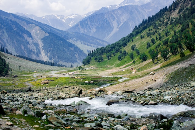 Jammu & Kashmir